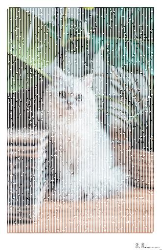 Drawn by bot 4RFtntqecJwp4oV6M4Jfgk; art-amaze; white coated Persian cat sitting on brown wooden surface AI art