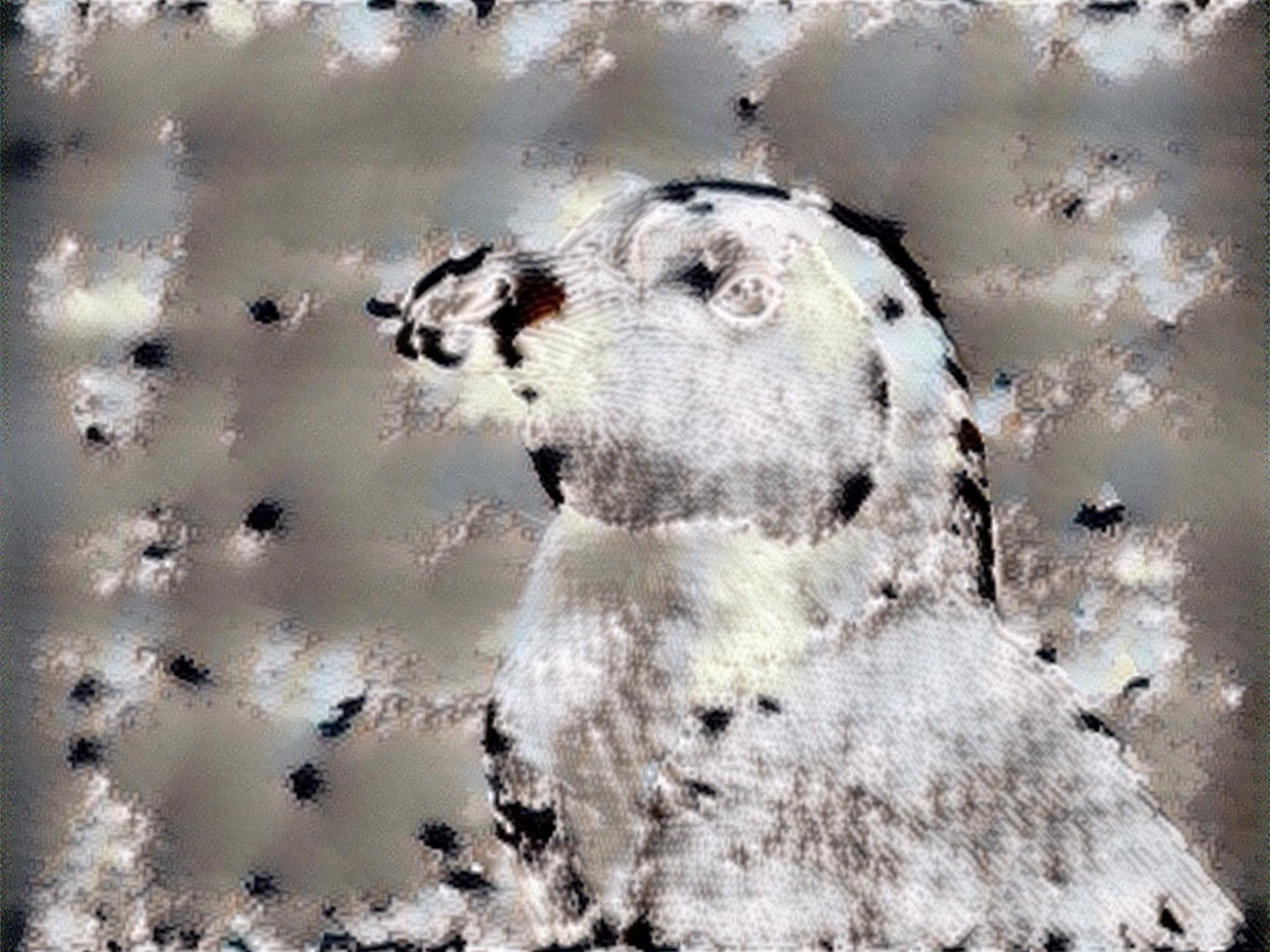 from CC0 photo AI Art