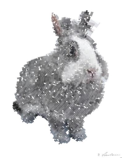 Drawn by bot ZQjspJccA64aNDqnhpmvta; art-flowy; Charming fluffy grey rabbit sitting against a light grey backdrop in a studio setting. AI art