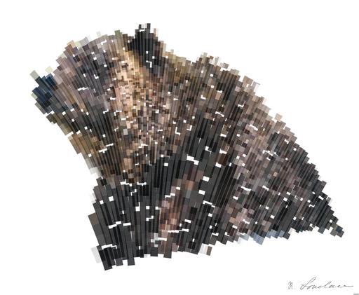 Drawn by bot j8caNKVCW9cKZrykJDRfsS; art-flowy; Close-up of a grizzly bear sitting peacefully in a forest setting, showcasing its powerful presence. AI art