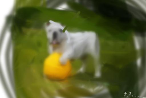 from CC0 photo AI art