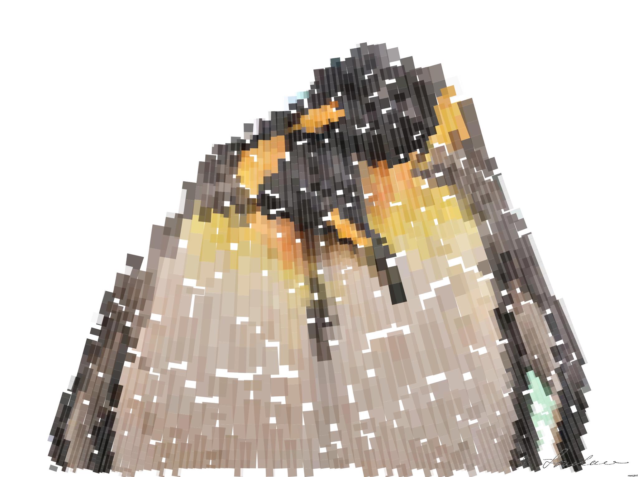 from CC0 photo AI Art