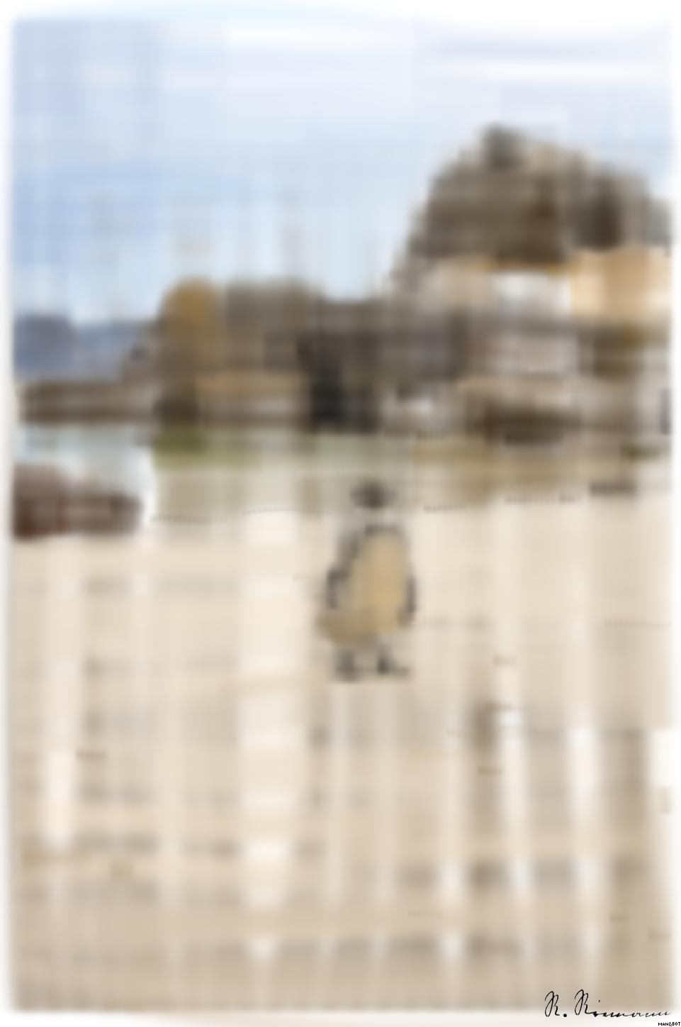 from CC0 photo AI Art