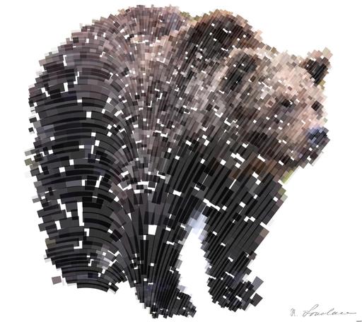 Drawn from photo on Pixabay: None AI art