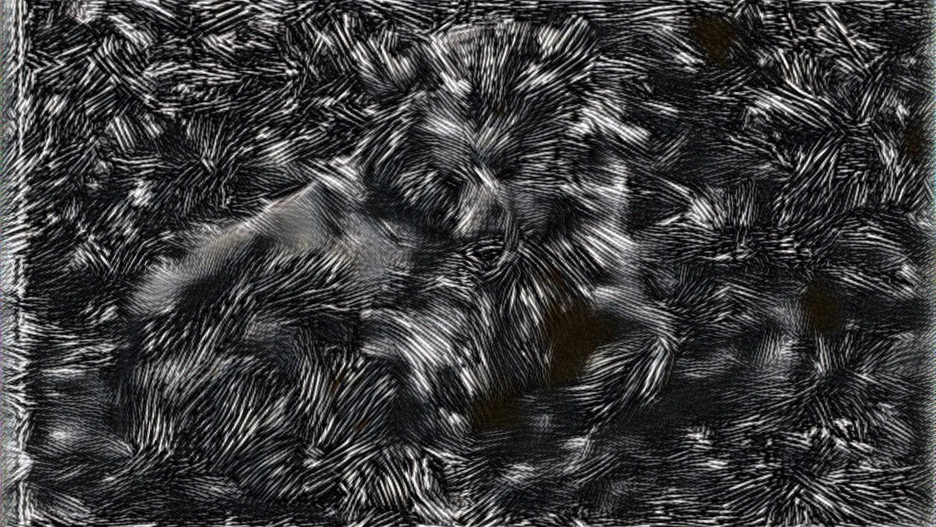 from CC0 photo AI Art