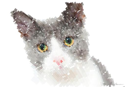 Drawn by bot mV7eA97jhq4B8Pt9k8Mpya; art-flowy; Adorable grey and white cat with striking yellow eyes against a plain backdrop. AI art