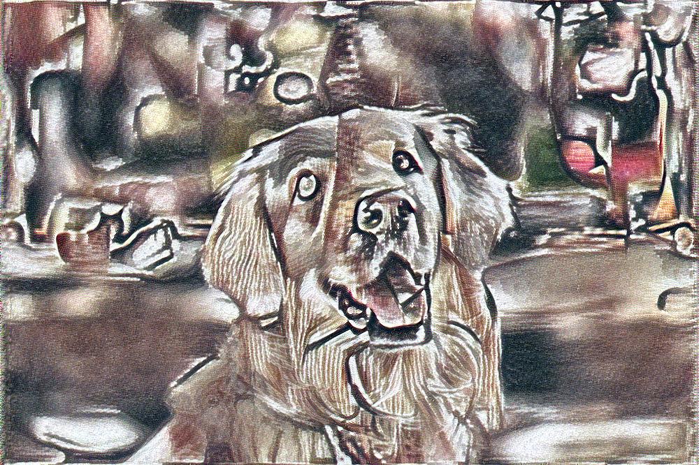 from CC0 photo AI Art