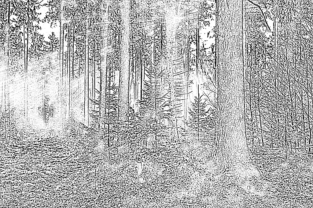 from CC0 photo AI Art