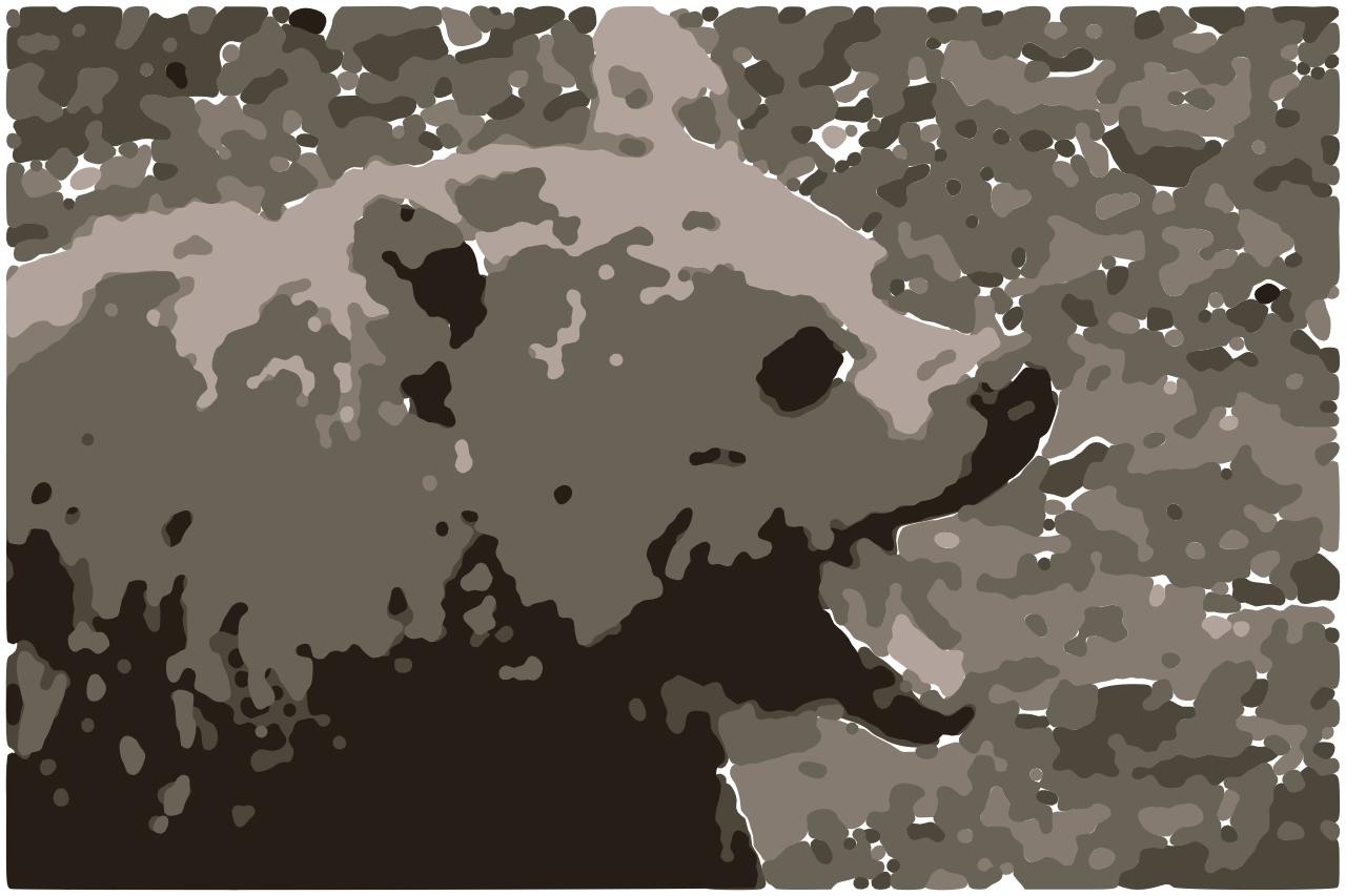 from CC0 photo AI Art