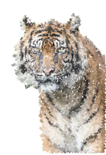 Drawn by bot ifohNPp64Bmjb4HK3WWtKc; art-flowy; None AI art