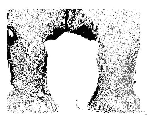 Drawn by bot eqCyibLNUunCmTXZbJpZ8z; art-bloby; Black and white portrait of a polar bear cub sheltered between its mother's paws. AI art