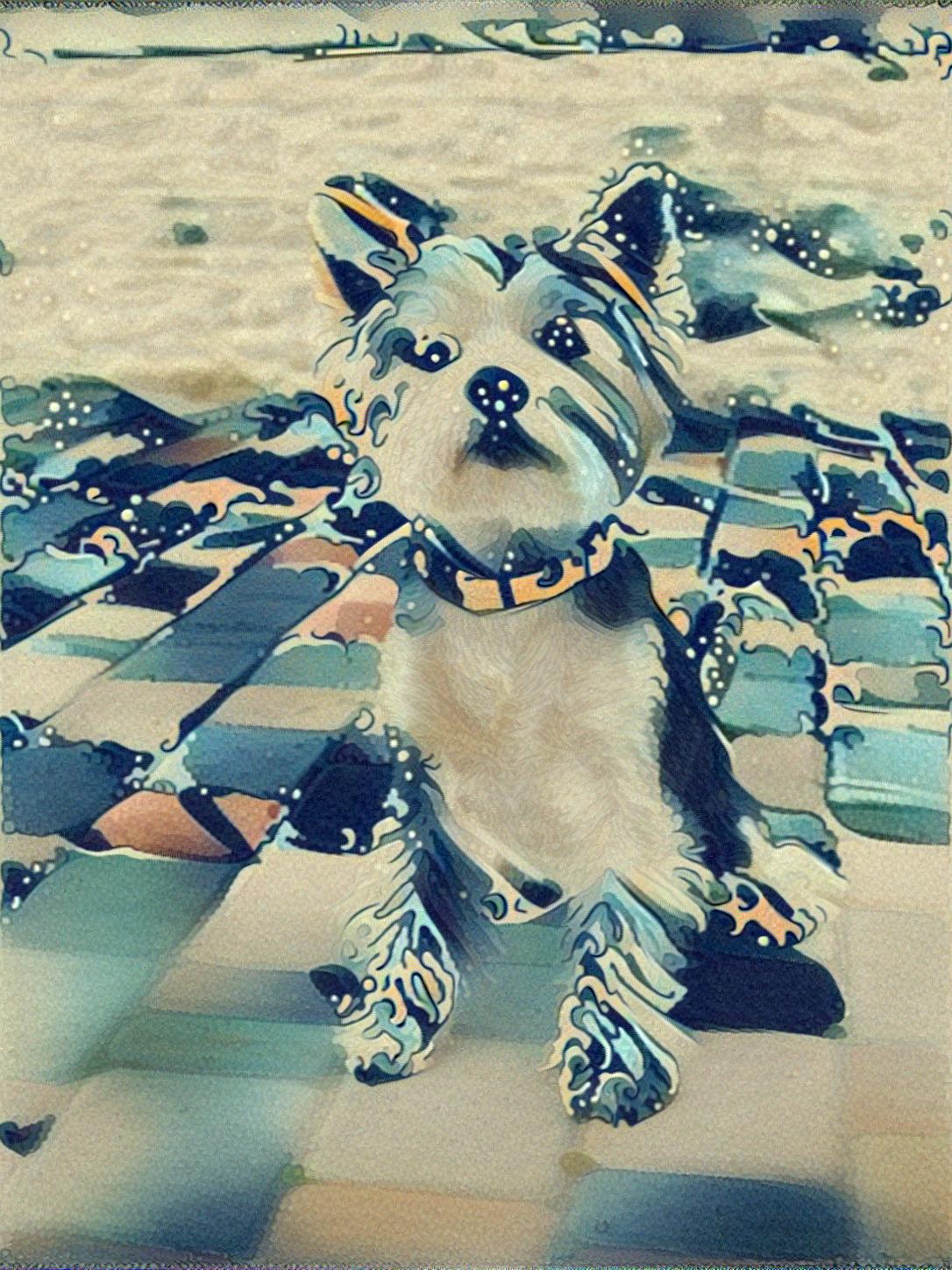 from CC0 photo AI Art