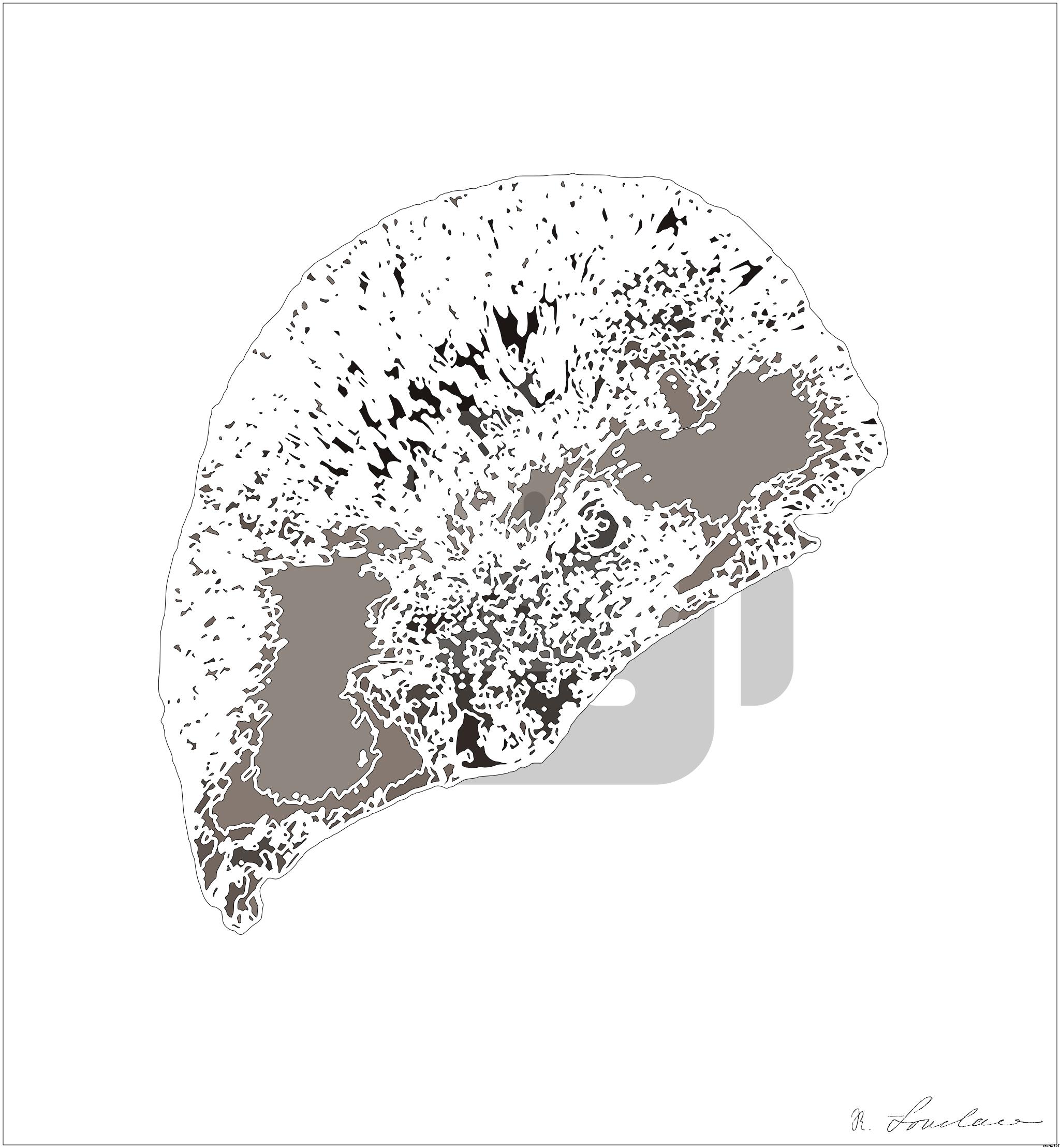 Drawn by bot YhuNNStyvMqfUHFiiZBkbz; art-bloby; artwork for redditgetsdrawnbybot AI Art