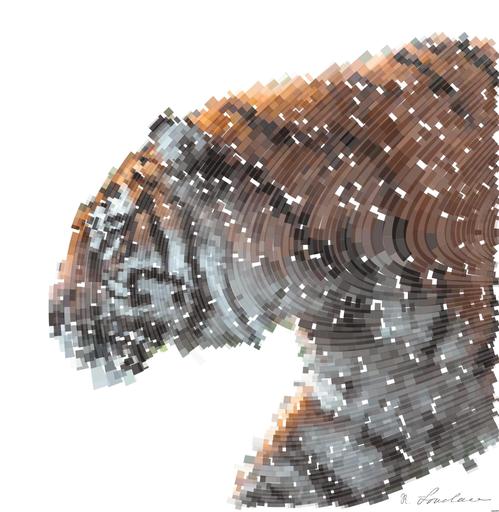 Drawn by bot khzBaQjCquXmECtXS9LHxX; art-flowy; tiger on brown tree branch during daytime AI art