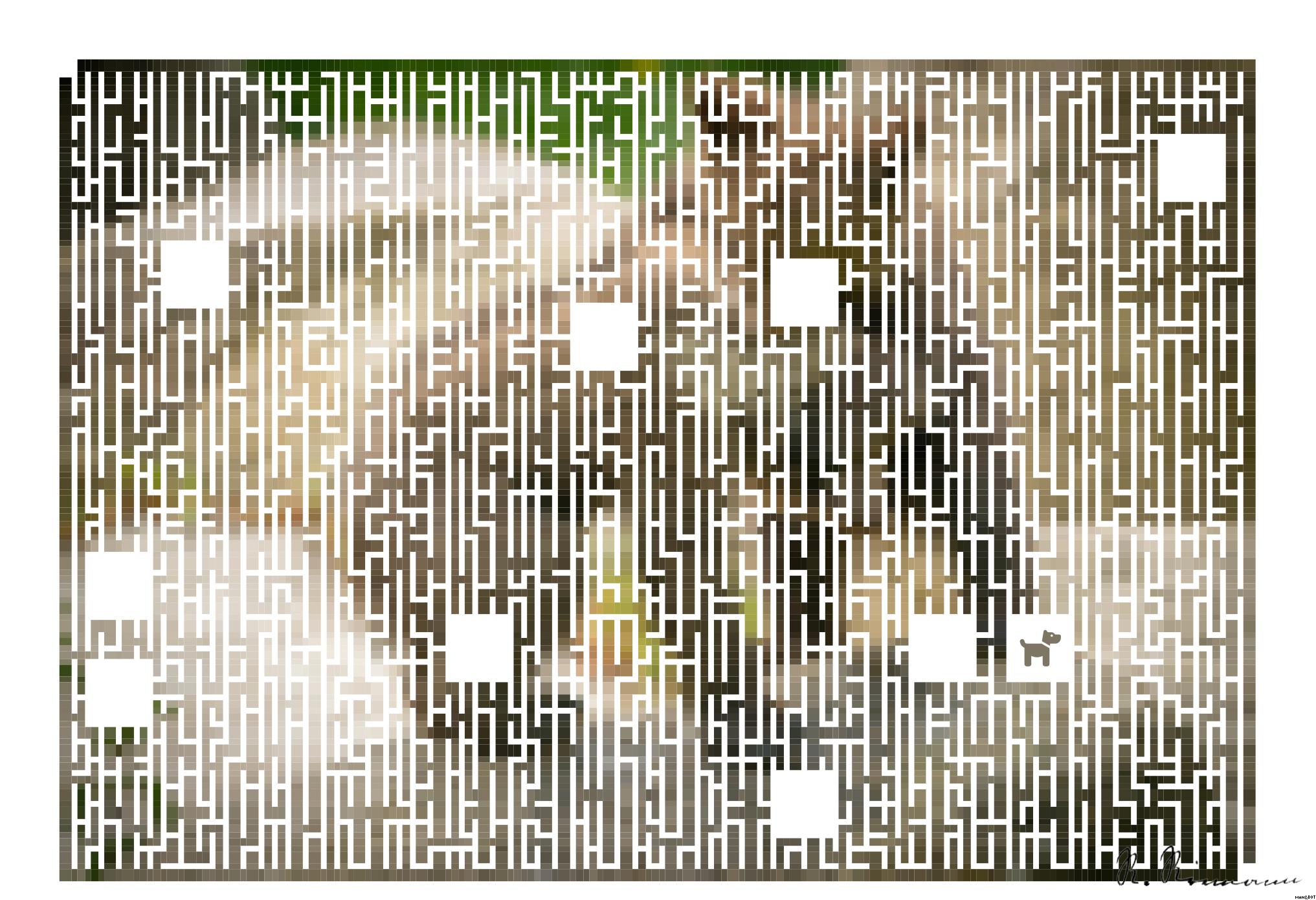 Drawn by bot MoRQXso2vRWzSH38qyJTGM; art-amaze; Two playful brown bear cubs interacting on a natural rock in a forest setting. AI Art