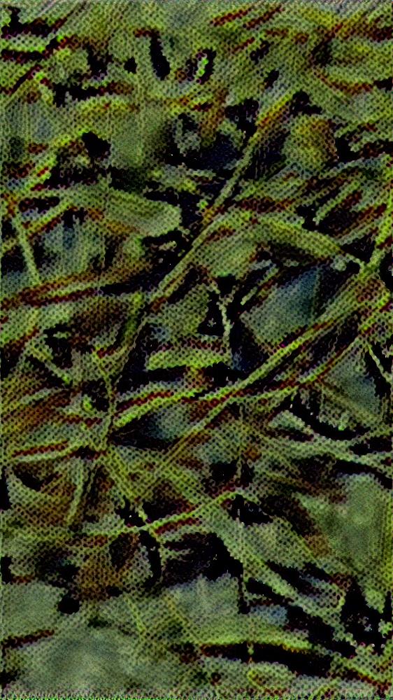 artwork for redditgetsdrawnbybot AI Art