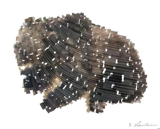 from CC0 photo AI art