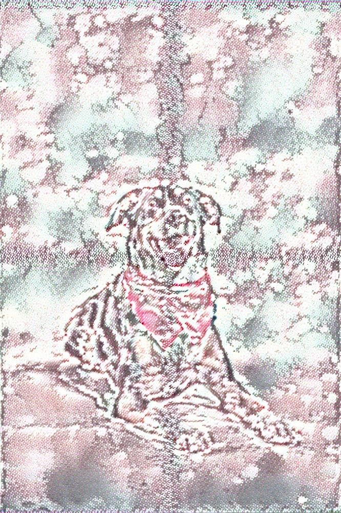 from CC0 photo AI Art