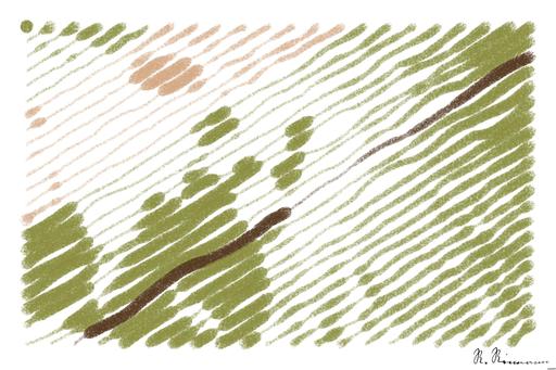 Drawn by bot 82t5DXFzJirvb6tVnr73Ne; art-linewidth; A majestic grizzly bear standing near a pond in its natural habitat, full of life. AI art