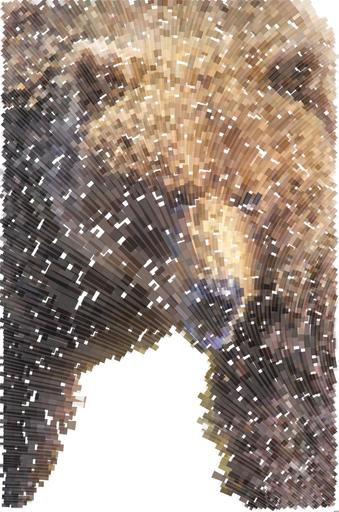 from CC0 photo AI art