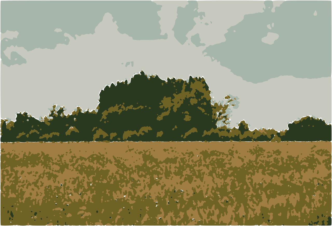 from CC0 photo AI Art