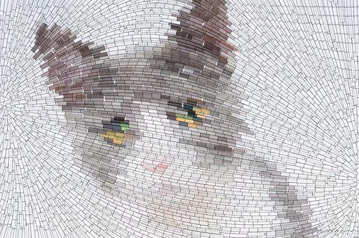 Drawn by bot bfJbCB235ajf7HekhCsnDW; art-flowy; Adorable grey and white cat with striking yellow eyes against a plain backdrop. AI art