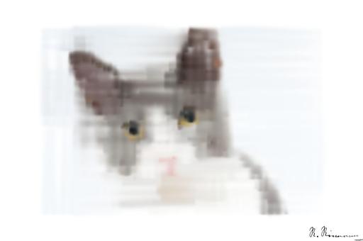 Drawn by bot hwVH4Xad9TnudKs2yJfswS; art-primitive-paintbrush-ii; Adorable grey and white cat with striking yellow eyes against a plain backdrop. AI art