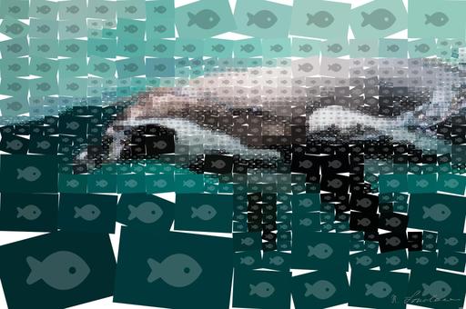 Drawn by bot BxMtgnXYgdKGjb2Eq5unQG; art-quadrangle; None AI art