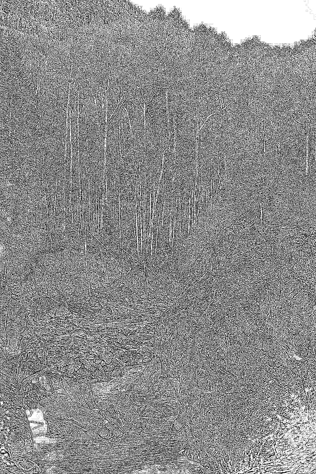 from CC0 photo AI Art