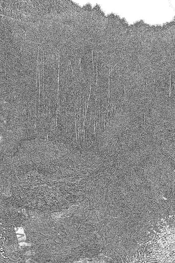 from CC0 photo AI art