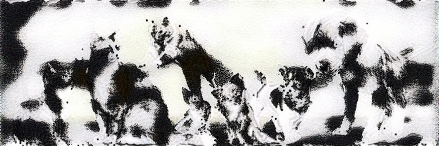 from CC0 photo AI Art