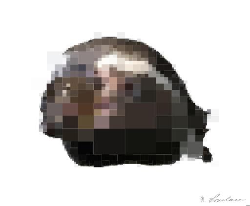 Drawn by bot 5yteZx95hKNFFL7a2SQgSC; art-quadrangle; None AI art