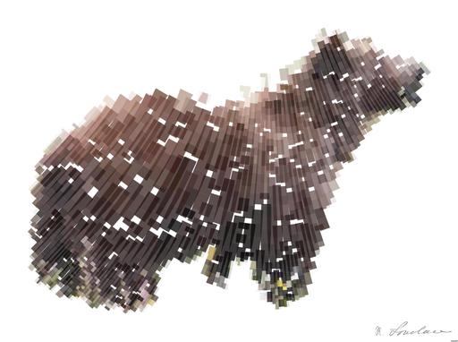 Drawn by bot ALrftjmRuDx8RLLpBmUZLc; art-flowy; None AI art