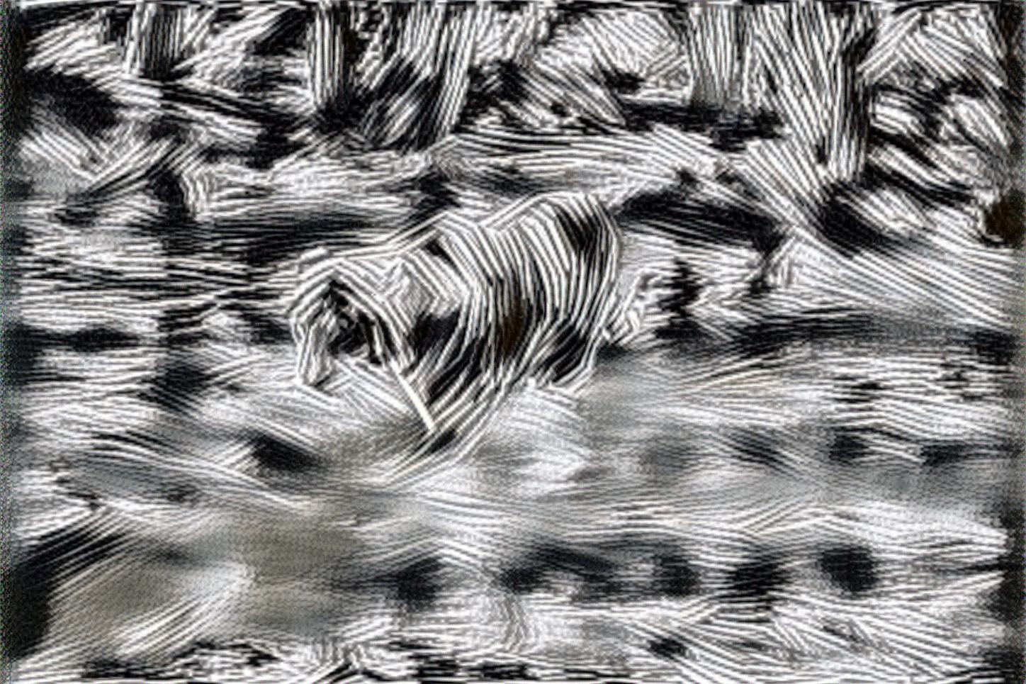 from CC0 photo AI Art