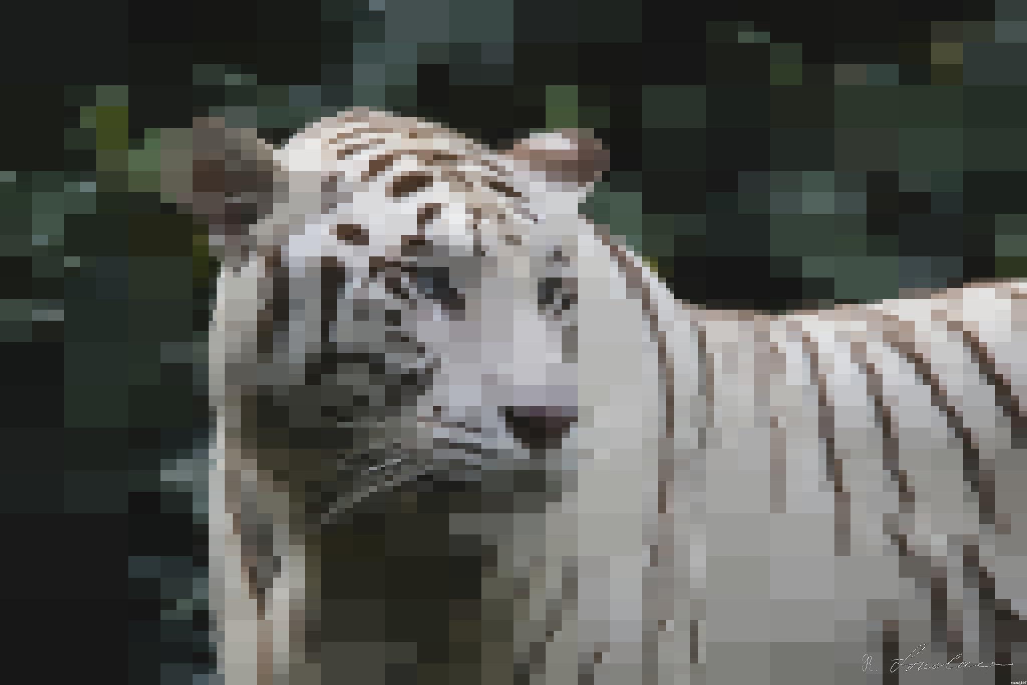 from CC0 photo AI Art