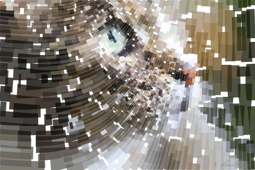 from CC0 photo AI art
