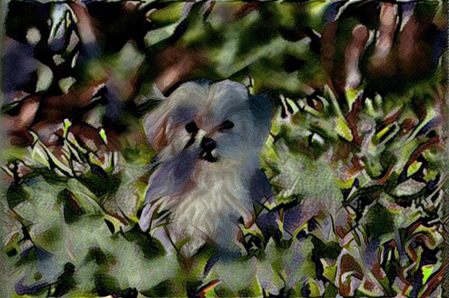 from CC0 photo AI Art