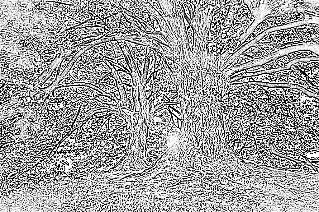 from CC0 photo AI Art