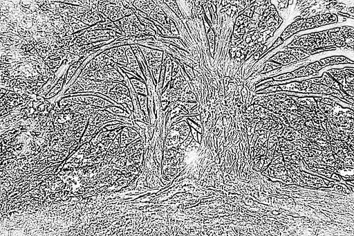 from CC0 photo AI art