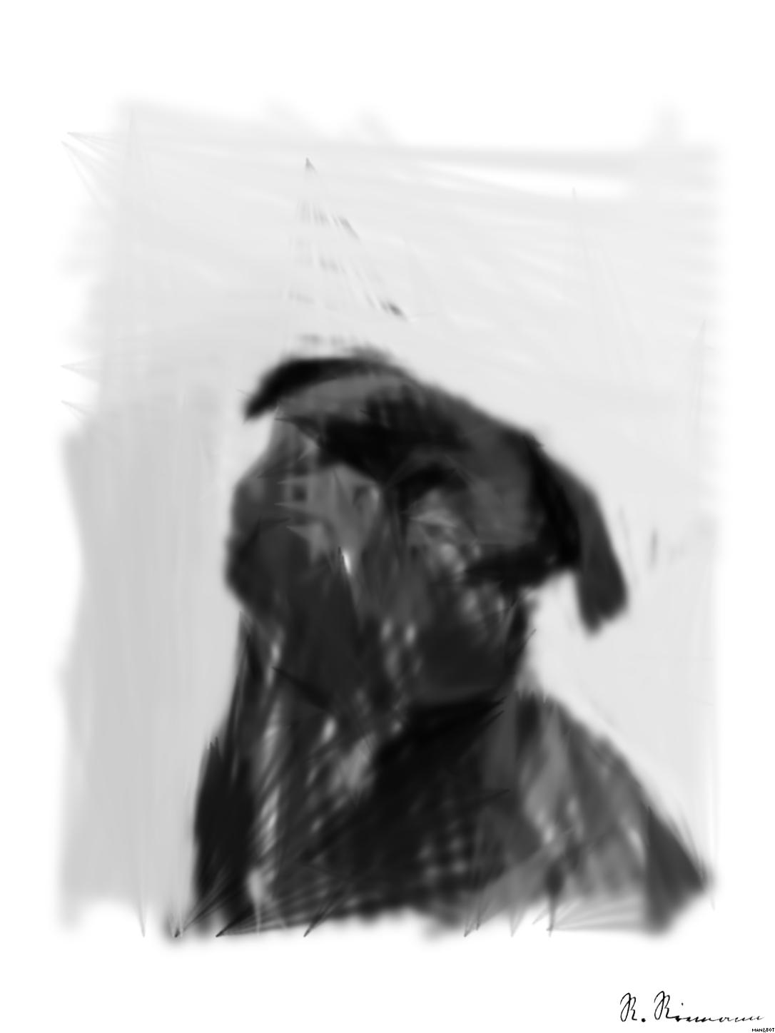 Drawn from photo on Pexels: Captivating portrait of a black pug gazing curiously, captured in monochrome. AI Art