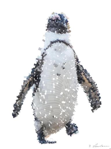 Drawn by bot mWPZavijVbNJScumnQUZZh; art-flowy; African penguin  on the sandy beach. African penguin ( Spheniscus demersus) also known as the jackass penguin and black-footed penguin. Boulders colony. Cape Town. South Africa AI art