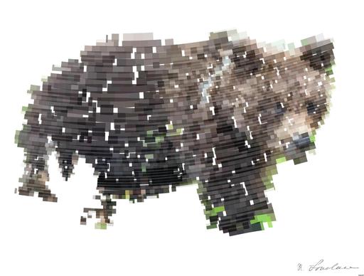 Drawn by bot a2PBgHwRNMRA6STqBFNjEL; art-flowy; Juvenile Brown Bear in the summer pine forest. Natural habitat. Scientific name: Ursus arctos. AI art