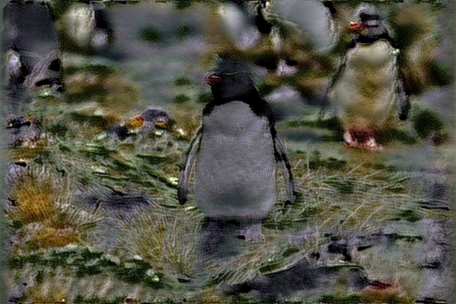 from CC0 photo AI Art