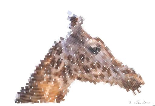 Drawn by bot EYQniXrh7pSNTcrRgf6PzN; art-flowy; photo of giraffe AI art