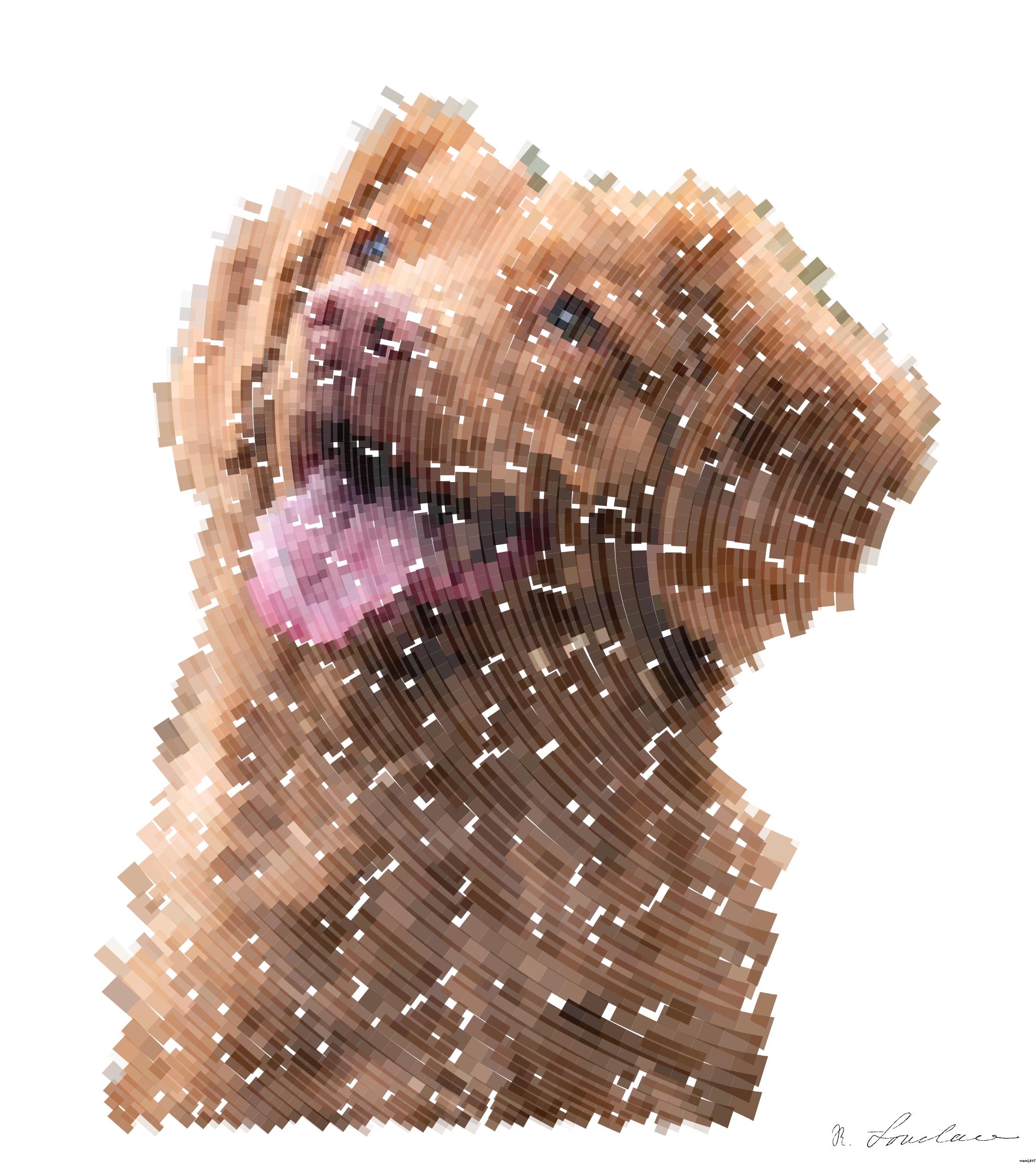 Drawn by bot KeBktobyTpvZzpStHyysbm; art-flowy; medium-coated brown dog during daytime AI Art