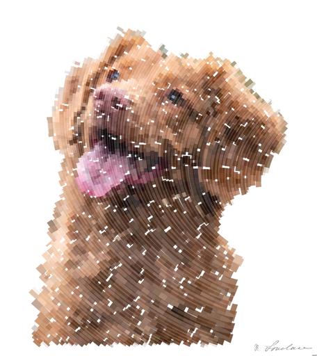 Drawn by bot KeBktobyTpvZzpStHyysbm; art-flowy; medium-coated brown dog during daytime AI art