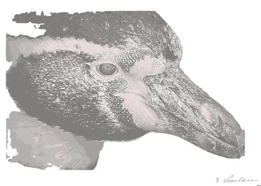 from CC0 photo AI art