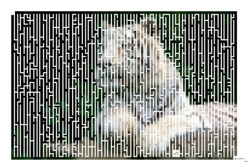Drawn by bot cEV5sqW5KVrTnLNVXewKtX; art-amaze; None AI art