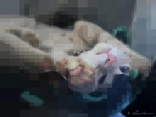 artwork for redditgetsdrawnbybot AI art