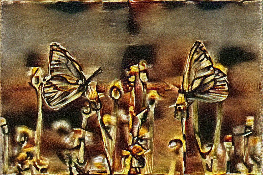 from CC0 photo AI Art